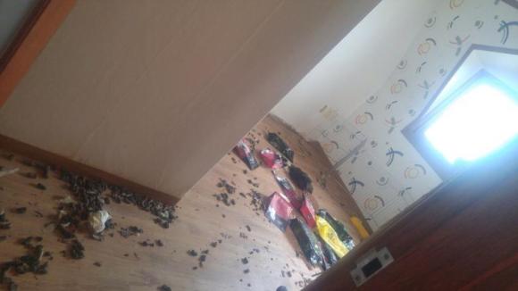  어떤 여자가 퇴실한 원룸 상황 (시룸사진주의) | 인스티즈