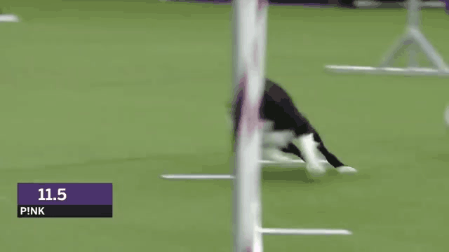 2021051712285189761.gif