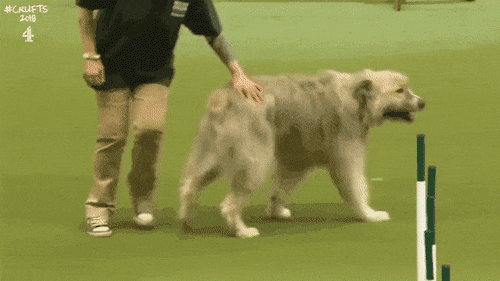 2021051712285189762.gif